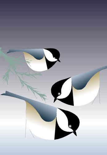 Black-capped Chickadee