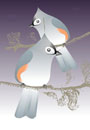 Tufted Titmouse