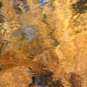 Water Reflections