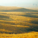 Flinthills in Autumn